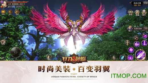 权利与荣耀果盘版