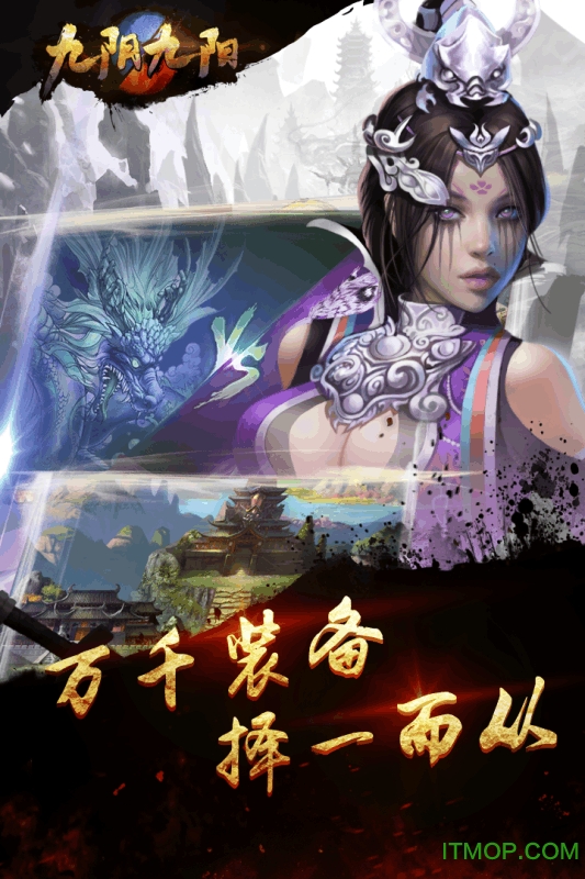九阴九阳果盘版