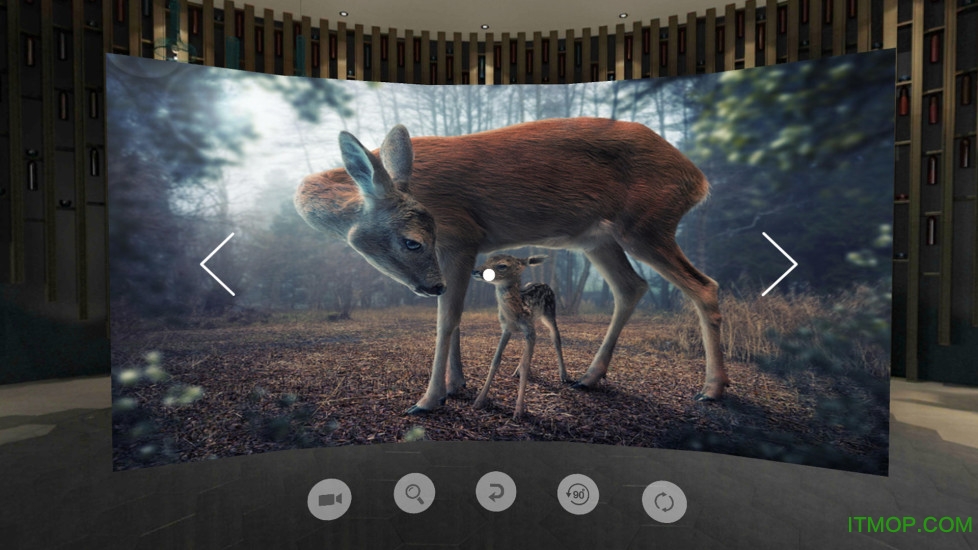 蜗壳vr app