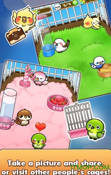 鸟类生活游戏完美版(Bird Life)v1.5.3 官方安卓版