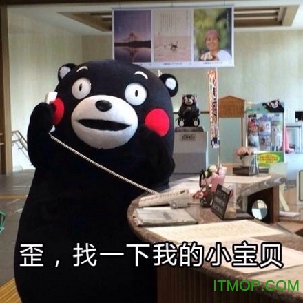 熊本熊表情包歪