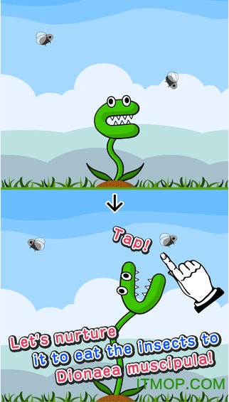 捕蝇草(Flytrap)v1.0.6 中文安卓版