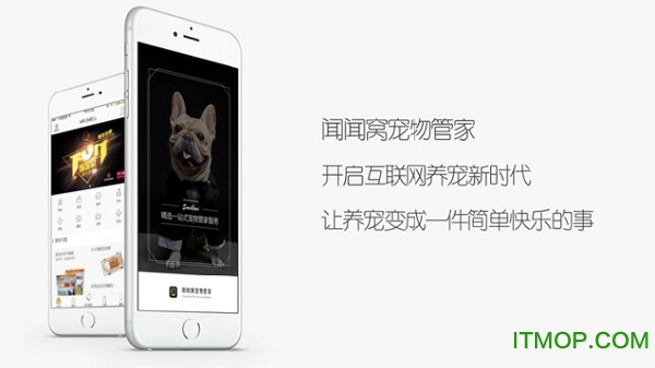 闻闻窝宠物管家