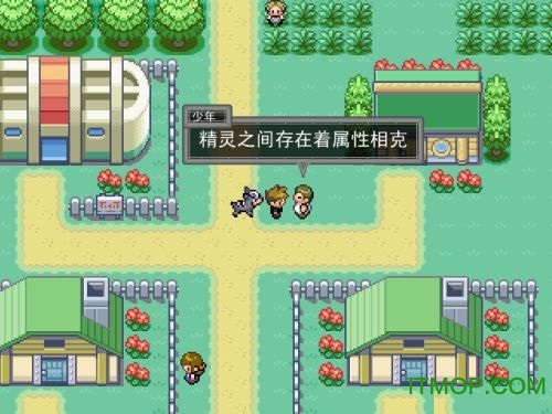 口袋妖怪原生花3华丽的冒险完美版