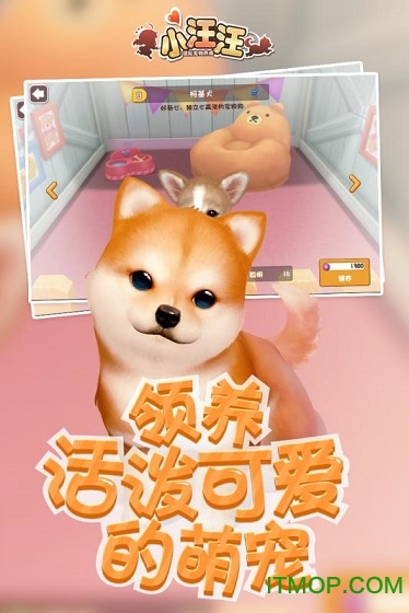 小汪汪