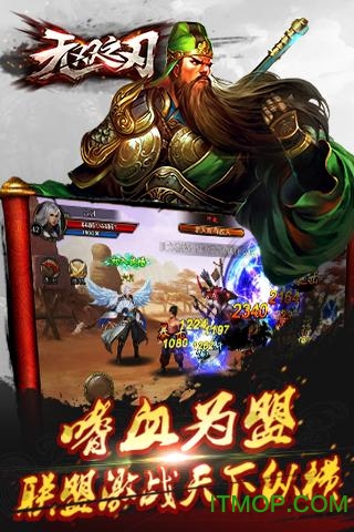无双之刃满v版