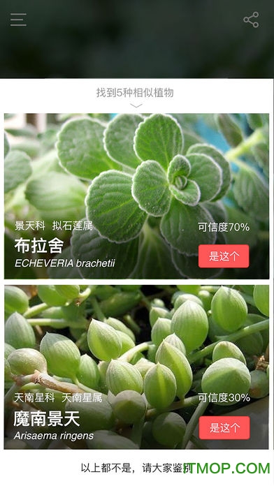 花伴侣识花软件苹果版v2.2.1 官网iPhone手机版