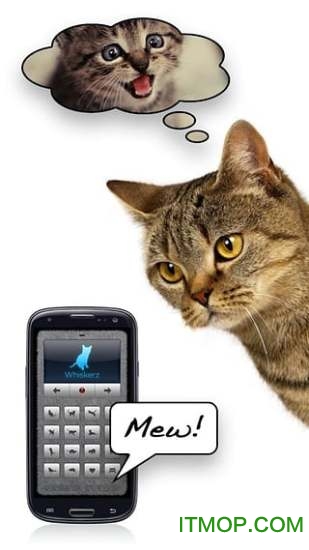人猫翻译器手机版v1.5.0 安卓版