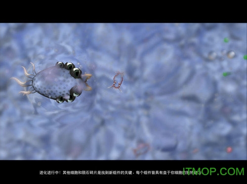孢子中文版手机游戏(SPORE)v1.0 安卓完整版