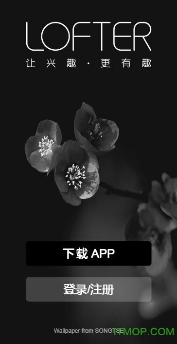 lofter网页版