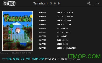 泰拉瑞亚1.3.0.8多功能修改器+10绿色免费版