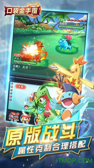 口袋妖怪金手指果盘版