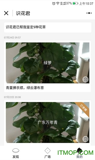 识花君免费版