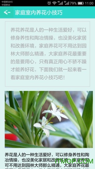 看图识花软件