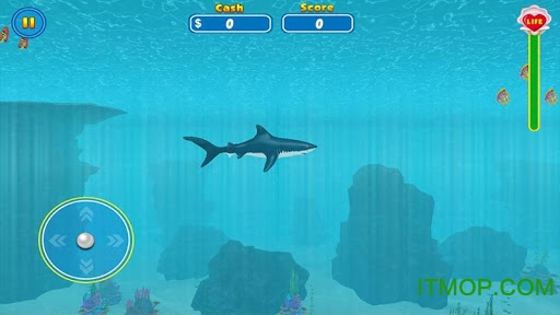 鲨鱼攻击模拟器(Shark Attack Wild Simulator)v6.1 安卓版