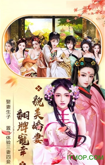 宫廷秘传手游