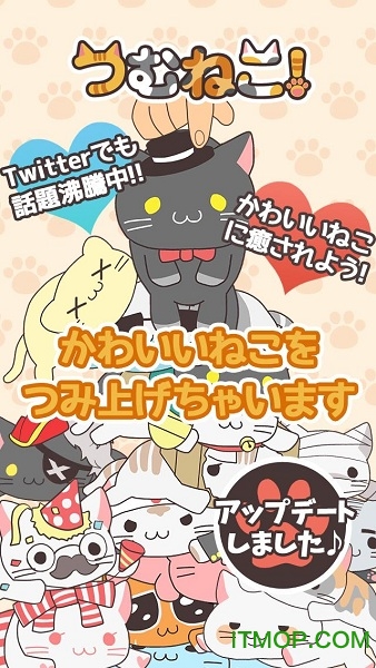 叠猫咪游戏