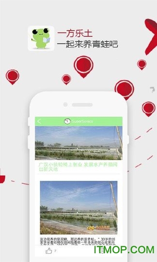 旅行青蛙喂养攻略