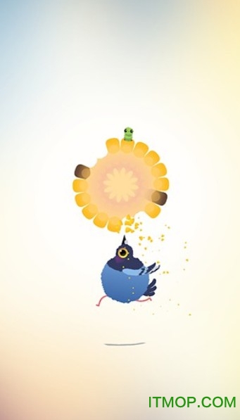 疯狂的鸽子(Pigeon)v1.0.3 安卓版