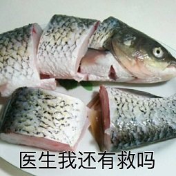 医生我还有救吗表情包搞笑图片版