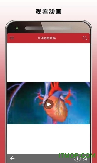 MSD Manual Home(默沙东诊疗手册家庭版)v2.1 安卓版