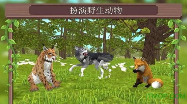 野生动物争霸v1.1 安卓版