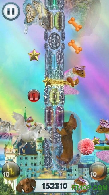 野蛮腊肠犬(Wild Wiener)v1.8.4 安卓版