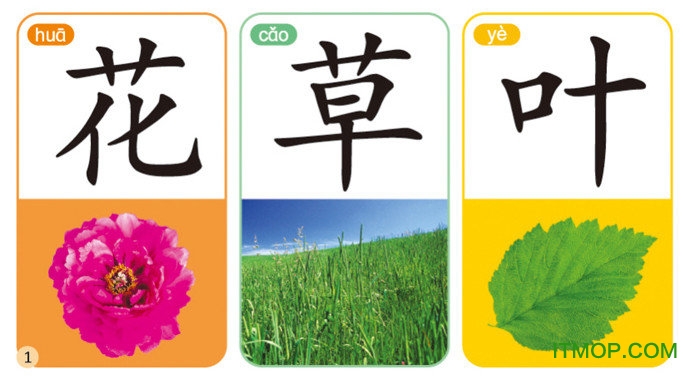 儿童识字卡片打印版pdf高清版