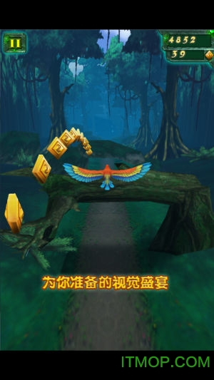 丛林大逃亡中文版v1.0.8 安卓版