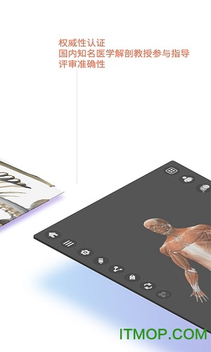 维萨里3d解剖全解锁破解版v6.2.0安卓版