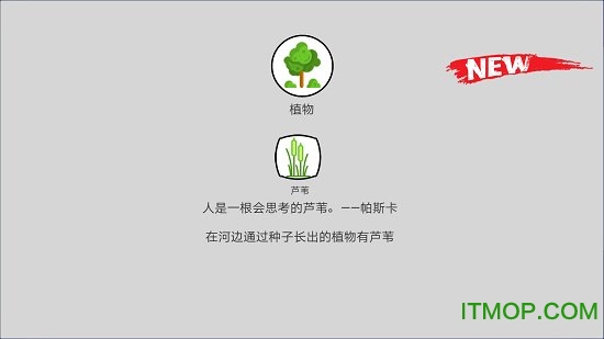 创史者破解版
