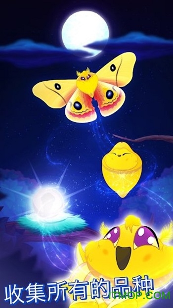 彩翼之星夜官方最新版v1.44 安卓版