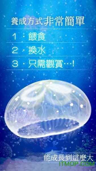治愈水母育成v1.2 安卓版