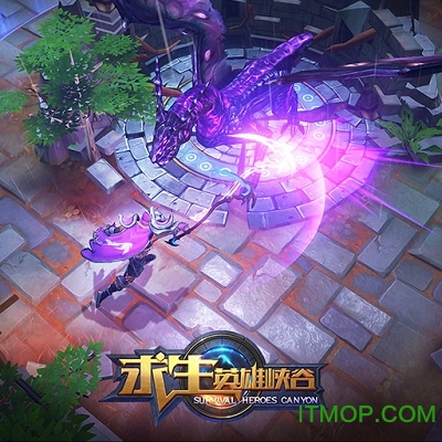 求生英雄峡谷九游版v1.0.5 安卓版