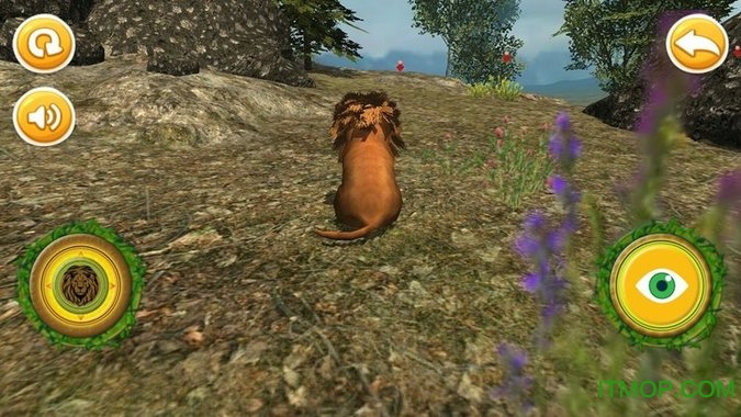 真狮幼兽模拟器(Real Lion Cub Simulator)v1.6 安卓版