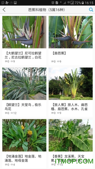 植物大全appv3.1 安卓版