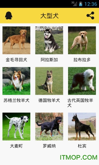宠物狗狗助手appv3.2.0 安卓版