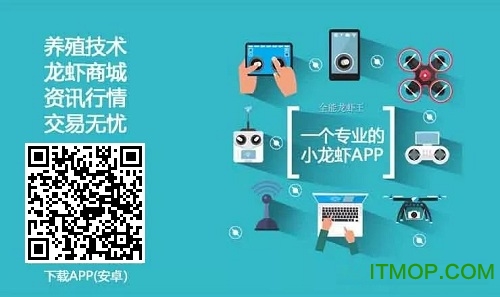 全能龙虾王app