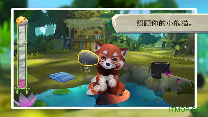 我的小熊猫v1.0 安卓版