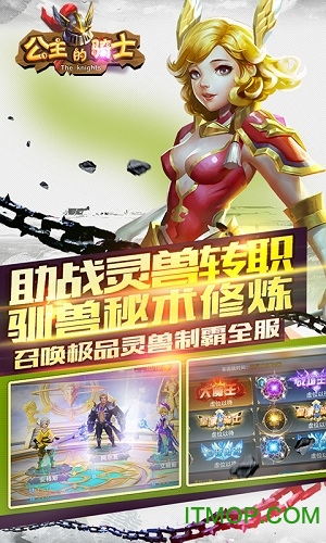 公主的骑士v1.0.2 安卓版