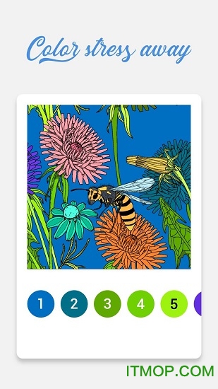 数学数字图画免费(Paint By Number)v2.48.0 安卓版