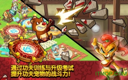 功夫宠物v1.3.6 安卓版