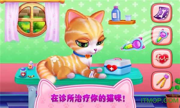 猫咪之恋游戏v1.1.1 安卓版