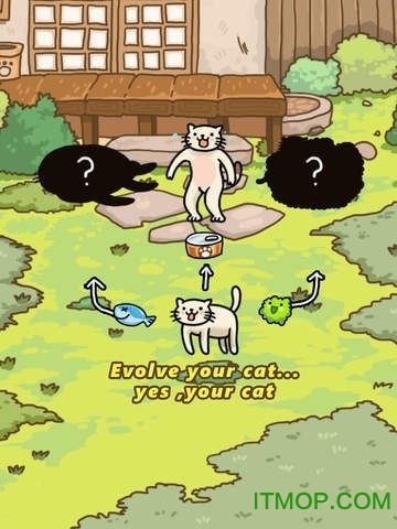 猫的进化世界v2.0.2 安卓版
