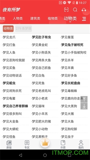 夜有所梦v1.1 安卓版