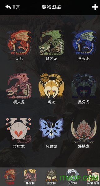 MHW app最新版v35.0 安卓版