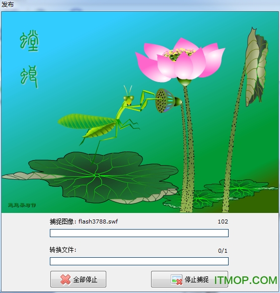 SWF GIF Converter绿色汉化版