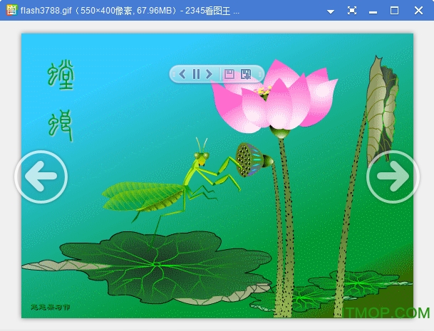 SWF GIF Converter绿色汉化版