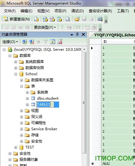 sql 2008精简版