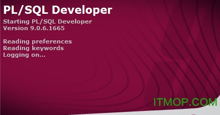 PL/SQL Developer